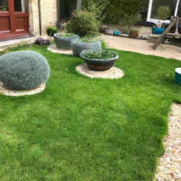 Techniques de taille pour maintenir un jardin esthétique et en bonne santé Ermont